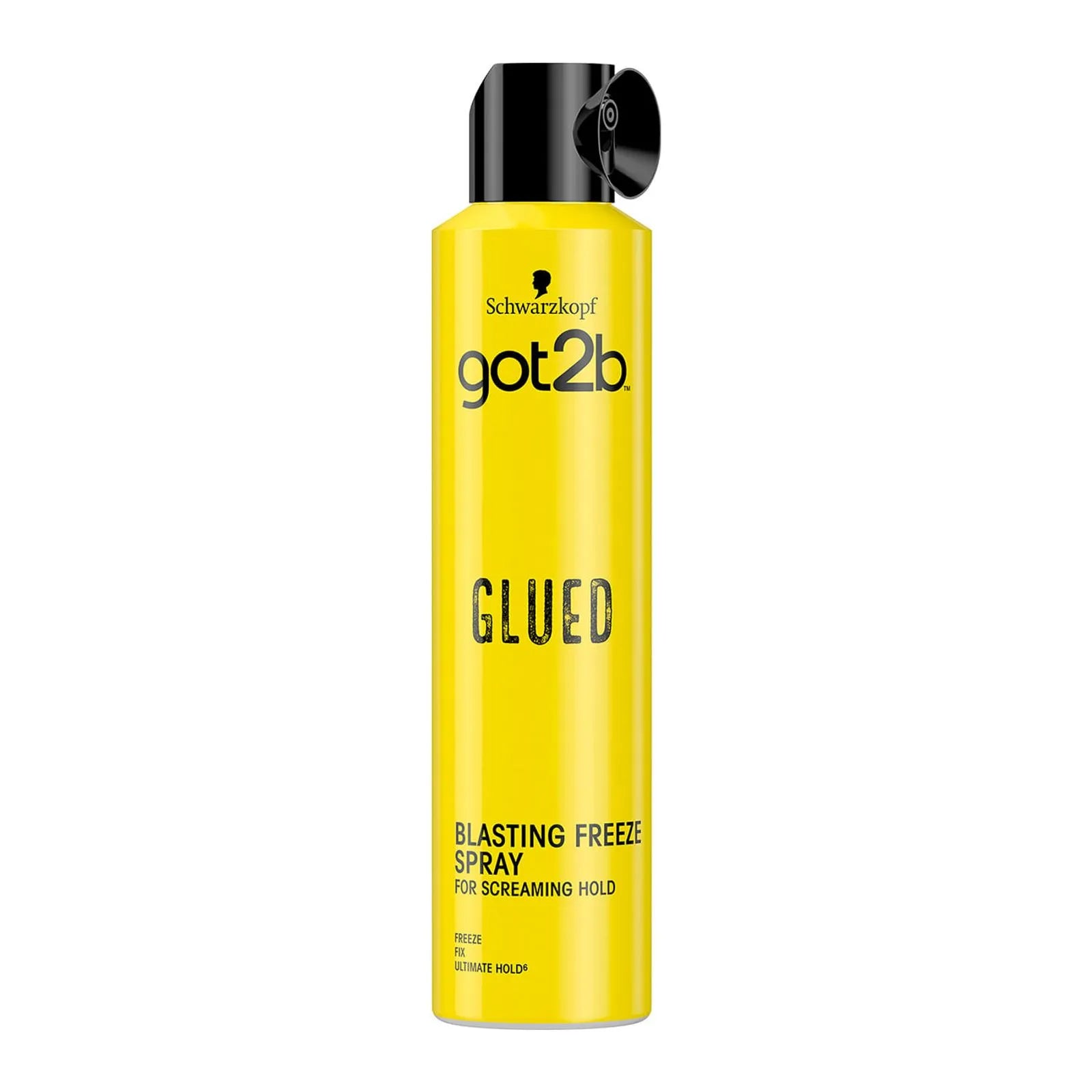 Spray Fijador de Cabello Got2Be